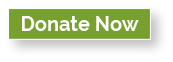 DonateNow_button